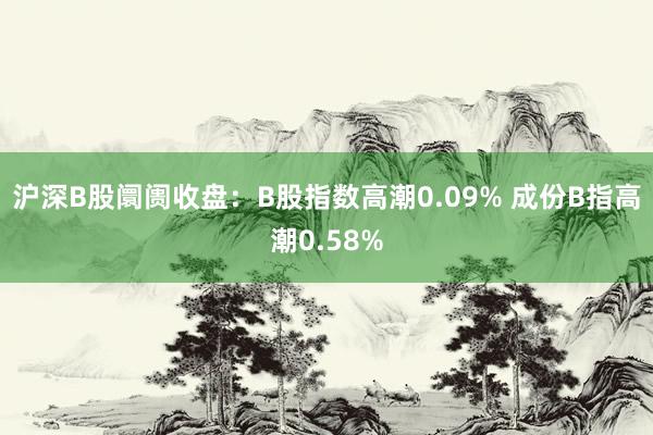 沪深B股阛阓收盘：B股指数高潮0.09% 成份B指高潮0.58%